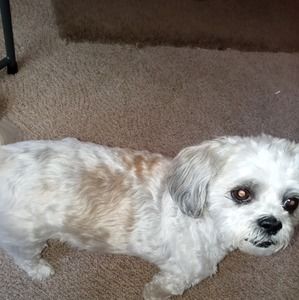 Meet your Posher, Lynn